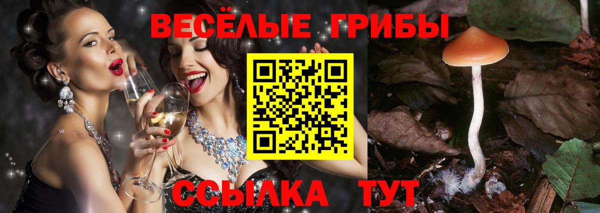 Кохма  Галлюциногенные грибы мицелий  Вход с VPN  Псилоцибиновые грибы мицелий 